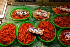Japan, Kanazawa, Fischmarkt