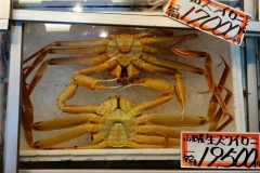 Japan, Kanazawa, Fischmarkt