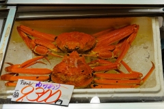 Japan, Kanazawa, Fischmarkt