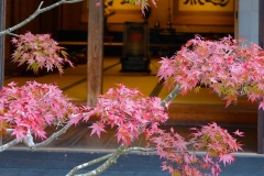 Japan, Koya-san