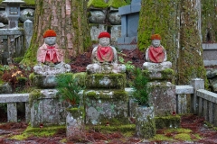 Japan, Koya-san, Friedhof Oku-no-in