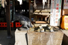 Japan, Kyoto, Goou Jinja Shinto-Schrein, Chozu