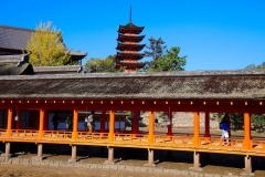 Japan, Miyajima, Itsukushima Schrein