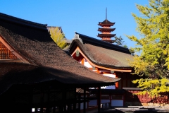 Japan, Miyajima, Itsukushima Schrein