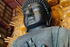Japan, Nara, Todai-ji Tempel, Daibatsu