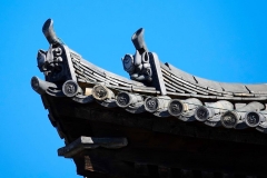 Japan, Nara, Kofuku-ji