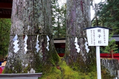 Japan, Nikko