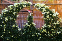 Japan, Okayama, Koraku-en Garten