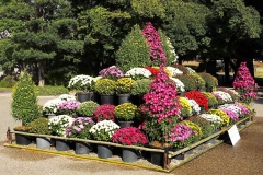 Japan, Okayama, Koraku-en Garten