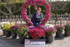 Japan, Okayama, Koraku-en Garten