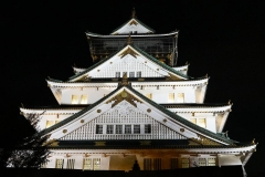 Japan, Osaka, Burg Osaka bei Nacht