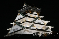 Japan, Osaka, Burg Osaka bei Nacht