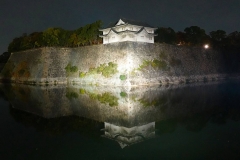 Japan, Osaka, Burg Osaka bei Nacht