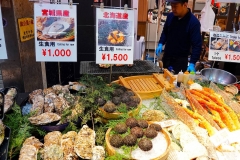 Japan, Osaka, Kuromon Market, Austern und Seeigel