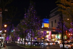 Japan, Osaka, Namba, Weihnachtsbeleuchtung