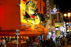 Japan, Osaka, Namba bei Nacht