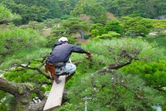 Japan, Takamatsu, Ritsurin-Koen Wandelgarten, Gärtner bei der Arbeit