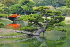Japan, Takamatsu, Ritsurin-Koen Wandelgarten
