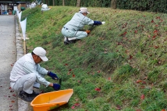Japan, Takamatsu, Ritsurin-Koen Wandelgarten, Gärtner bei der Arbeit