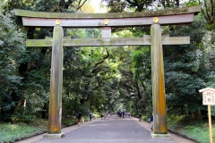 Japan, Tokio, Meiji-Schrein, Torii