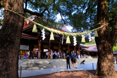 Japan, Tokio, Meiji-Schrein