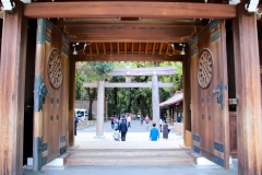 Japan, Tokio, Meiji-Schrein