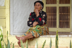 Java, Cangkuang-See