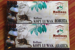 Java, Malang, Kopi Luwak, Schleichkatzenkaffee