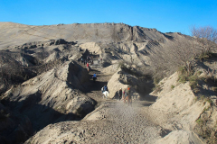 Java, Auf Pferden zum Vulkan Mount Bromo