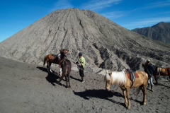 Java, Mount Bromo
