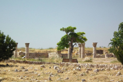 Jordanien, Amman, Zitadelle
