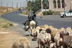 Jordanien, Madaba