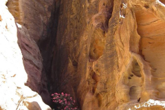 Jordanien, Wadi Musa, Petra