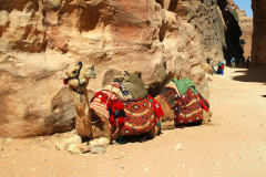 Jordanien, Wadi Musa, Petra