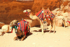 Jordanien, Wadi Musa, Petra