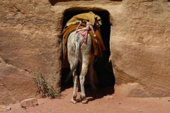Jordanien, Wadi Musa, Petra