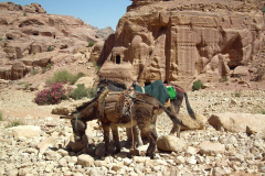 Jordanien, Wadi Musa, Petra