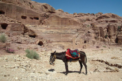 Jordanien, Wadi Musa, Petra