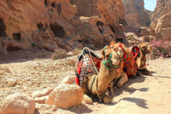 Jordanien, Wadi Musa, Petra