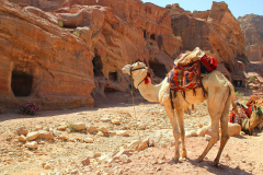Jordanien, Wadi Musa, Petra
