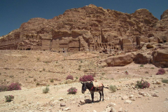 Jordanien, Wadi Musa, Petra