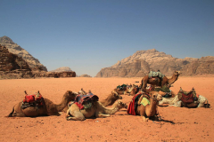 Jordanien, Wadi Rum