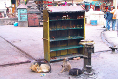 Nepal, Kathmandu, Tempelanlage Swayambhunath, Butterlampen