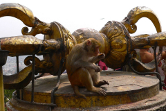 Nepal, Kathmandu, Tempelanlage Swayambhunath