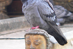 Nepal, Kathmandu
