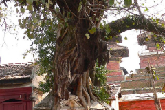 Nepal, Kathmandu, Durbar Square