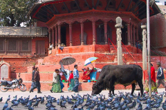 Nepal, Kathmandu, Durbar Square
