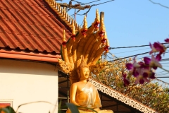 Laos, Vientiane, Wat Xieng Gneun