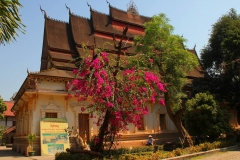 Laos, Vientiane, Wat Haysoke