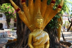 Laos, Vientiane, Wat Haysoke